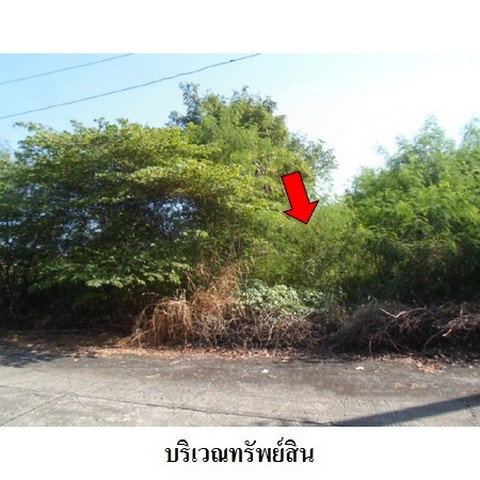 รูป Z8Z2197 ขายที่ดินเปล่า โครงการ บางไทรเวลเนสโฮม ตำบล แคตก อำเภอ บางไทร จังหวัด พระนครศรีอยุธยา - รูปที่ 4/8