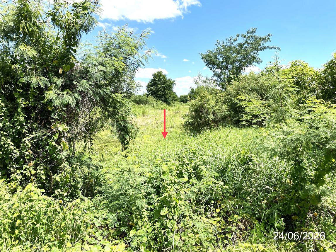 picture LAND 3368 Sq.w. Chon Daen Phetchabun for 5.1M - 14/19