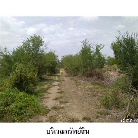 รูป Z2T1093 ขายที่ดินเปล่า ตำบล สาลี อำเภอ บางปลาม้า จังหวัด สุพรรณบุรี - รูปที่ 4/8