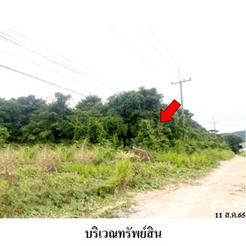 รูป Z3A1496 ขายที่ดินเปล่า ตำบล มะขามคู่ อำเภอ นิคมพัฒนา จังหวัด ระยอง - รูปที่ 3/8