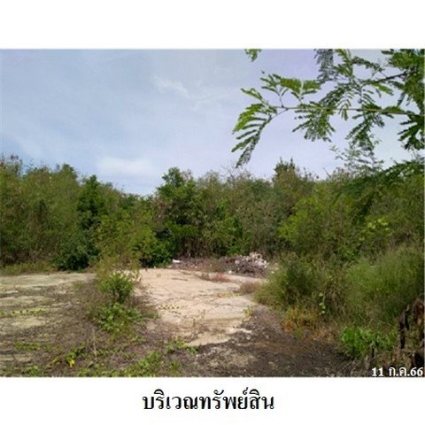 รูป Z1T0095 ขายที่ดินเปล่า ตำบล บ้านกร่าง อำเภอ ศรีประจันต์ จังหวัด สุพรรณบุรี - รูปที่ 4/8