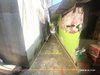 listing thumbnail image 28