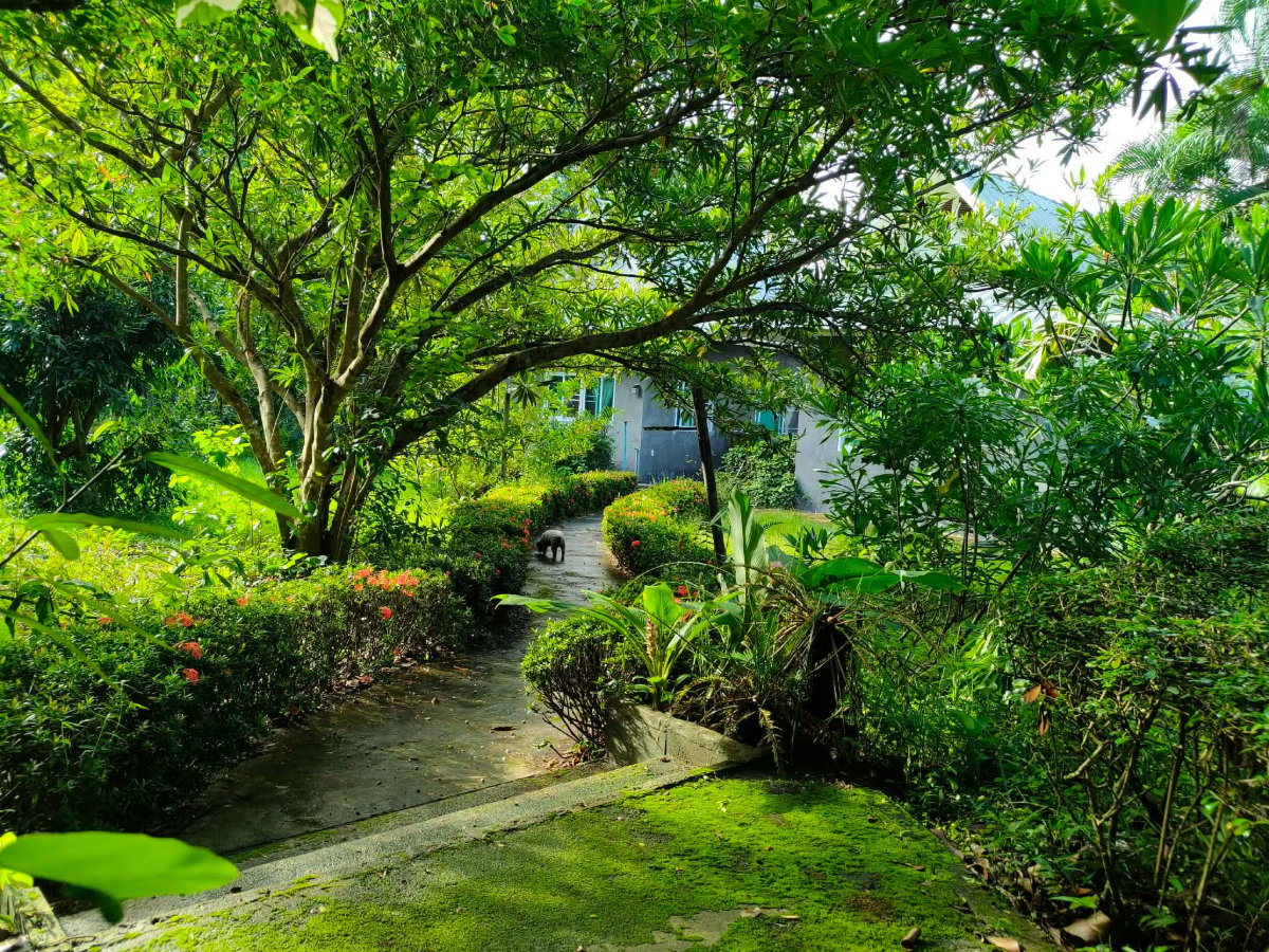 รูป 🌿🏡 ขายที่ดิน 4 ไร่ 83 ตร.ว. พร้อมบ้านสวน 4 หลัง ต.แม่โป่ง อ.ดอยสะเก็ด จ.เชียงใหม่ T. 063-6649056 - รูปที่ 13/18