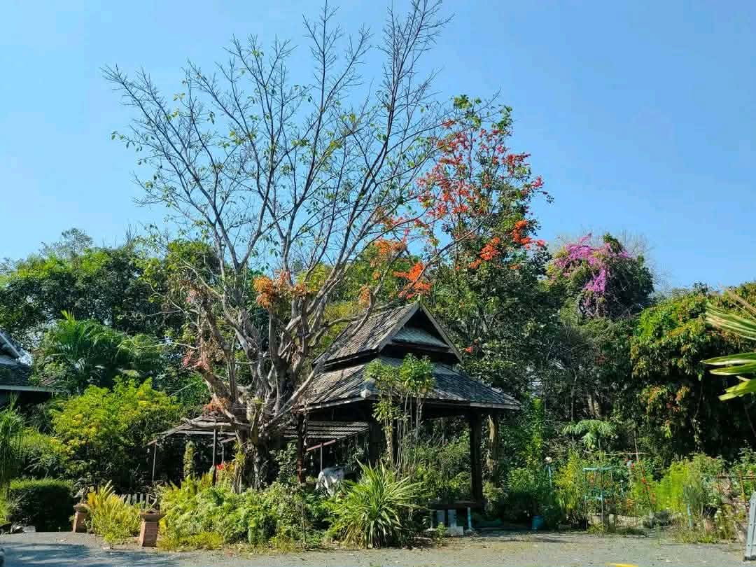 รูป 🌿🏡 ขายที่ดิน 4 ไร่ 83 ตร.ว. พร้อมบ้านสวน 4 หลัง ต.แม่โป่ง อ.ดอยสะเก็ด จ.เชียงใหม่ T. 063-6649056 - รูปที่ 4/18