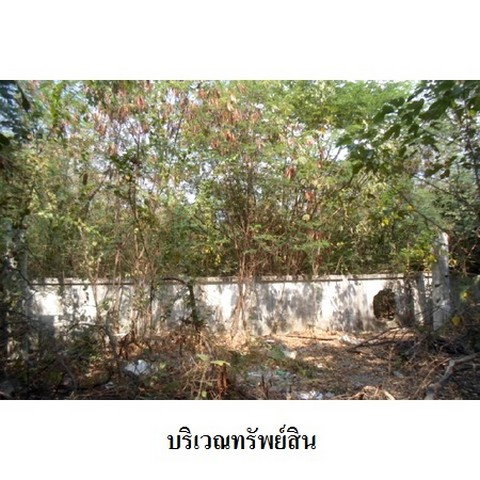 รูป Z2T2051 ขายที่ดินเปล่า โครงการ ธาราทิพย์ ตำบล ทะเลชุบศร อำเภอ เมืองลพบุรี จังหวัด ลพบุรี - รูปที่ 4/8