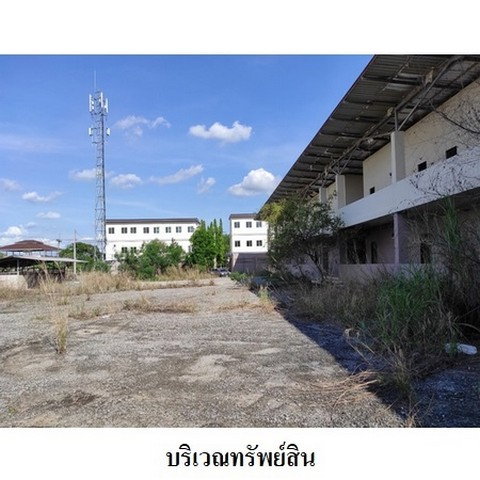 รูป Z8Z7631 ขายอาคารพาณิชย์ ตำบล เขาคันทรง อำเภอ ศรีราชา จังหวัด ชลบุรี - รูปที่ 5/8