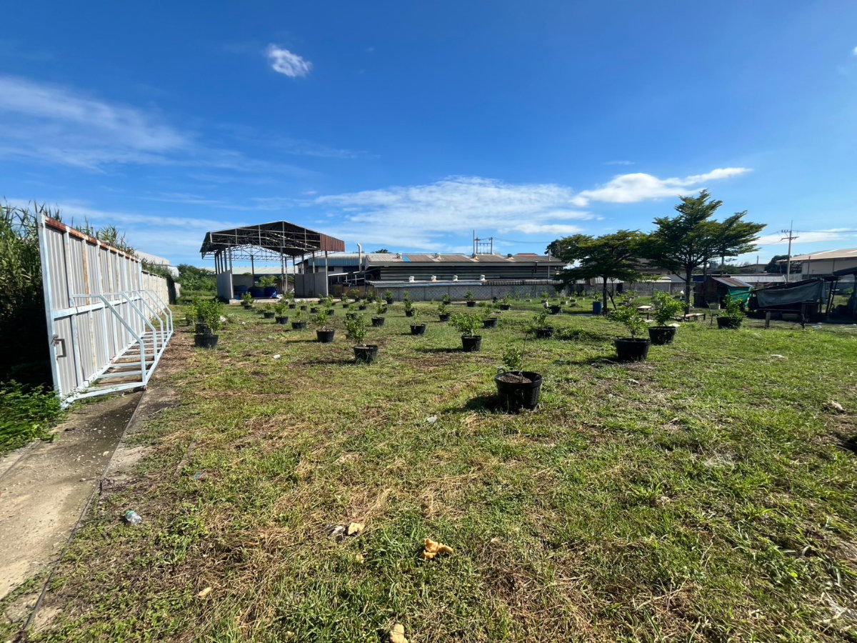 picture Land with buildings + house + warehouse, including factory license (Form 4). - 9/23