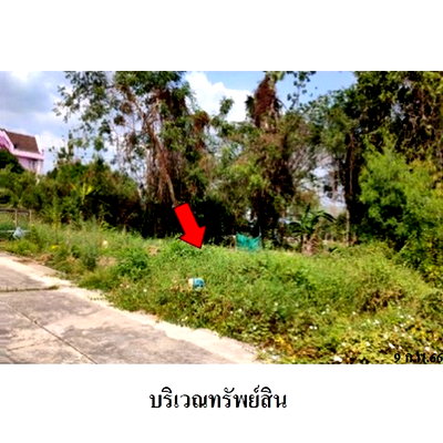 Land for sale Muang Nonthaburi Nonthaburi : Thailand LAND for sale 0 Rai 0 Ngan 82 Square Wah  2243000 Baht.