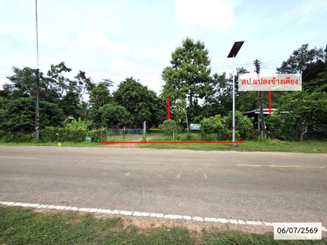 picture LAND 336 Sq.w. That Phanom Nakhon Phanom for 1.1M - 18/21
