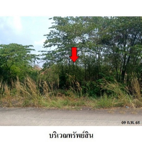 รูป Z8Z2197 ขายที่ดินเปล่า โครงการ บางไทรเวลเนสโฮม ตำบล แคตก อำเภอ บางไทร จังหวัด พระนครศรีอยุธยา - รูปที่ 6/8
