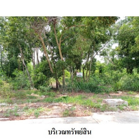 รูป Z8Z6224 ขายที่ดินเปล่า สวนวลีแลนด์ 4 ตำบล ทับมา อำเภอ เมืองระยอง จังหวัด ระยอง - รูปที่ 7/8