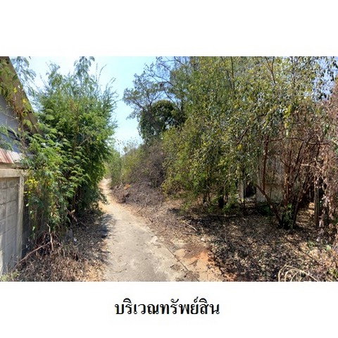 รูป Z3A0789 ขายที่ดินเปล่า ตำบล ช่องสาริกา อำเภอ พัฒนานิคม จังหวัด ลพบุรี - รูปที่ 5/8
