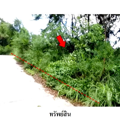 ที่ดิน เมืองระยอง ระยอง : Z8Z6442 ขายที่ดินเปล่า สวนวลีแลนด์ 4 ตำบล ทับมา อำเภอ เมืองระยอง จังหวัด ระยอง