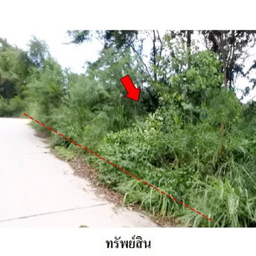 Z8Z6442 ขายที่ดินเปล่า สวนวลีแลนด์ 4 ตำบล ทับมา อำเภอ เมืองระยอง จังหวัด ระยอง