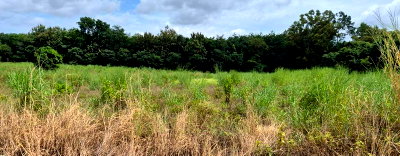 Land for sale ปลวกแดง : Land for sale in Khao Khansong, Sriracha, Chonburi. Excellent location, near industrial estates, ideal for investment.