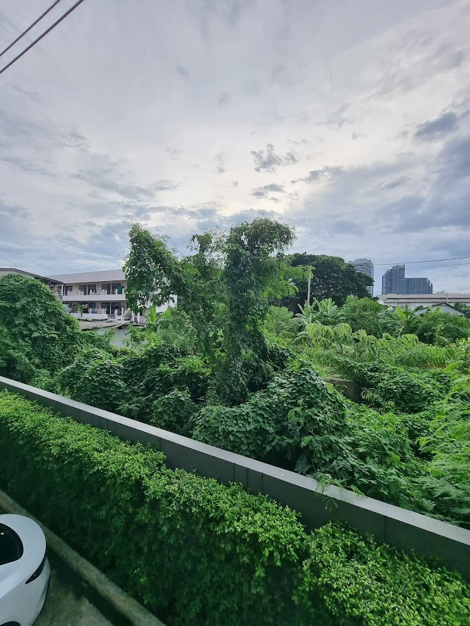 รูป อาโล่ ลาซาล 17 คอนโด เลี้ยงสัตว์ได้ 1 ห้องนอน ให้เช่า 14,000 / เดือน สัญญาเช่า 2 ปี 13,000 บาท / เดือน - รูปที่ 19/60