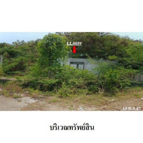 รูป ZLL0059 ขายที่ดินเปล่า ตำบล ปากน้ำ อำเภอ เมืองระยอง จังหวัด ระยอง - รูปที่ 6/8