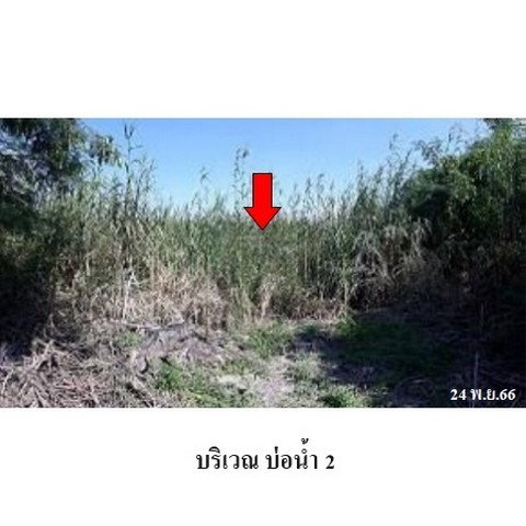 รูป Z1T1460 ขายที่ดิน ตำบล ไทรน้อย อำเภอ ไทรน้อย จังหวัด นนทบุรี - รูปที่ 5/8