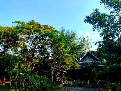 บ้านเดี่ยว เชียงใหม่ : 🌿🏡 ขายที่ดิน 4 ไร่ 83 ตร.ว. พร้อมบ้านสวน 4 หลัง ต.แม่โป่ง อ.ดอยสะเก็ด จ.เชียงใหม่ T. 063-6649056