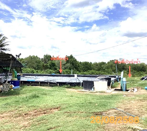 picture HOME 1133 Sq.w. Muang Phangnga Phangnga for 4M - 5/13