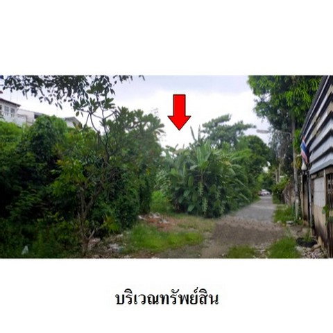 รูป Z4T0556 ขายที่ดิน ตำบล ตลาดขวัญ อำเภอ เมืองนนทบุรี จังหวัด นนทบุรี - รูปที่ 3/8