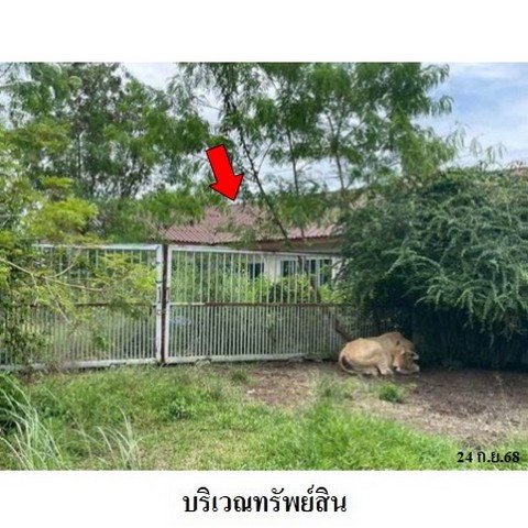 รูป ZBL0099 ขายอาคารสำนักงาน ตำบล บ้านแลง อำเภอ เมืองระยอง จังหวัด ระยอง - รูปที่ 5/8