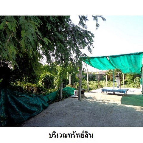 รูป Z2T2607 ขายที่ดินเปล่า โครงการ ธาราทิพย์ ตำบล ถนนใหญ่ อำเภอ เมืองลพบุรี จังหวัด ลพบุรี - รูปที่ 3/8
