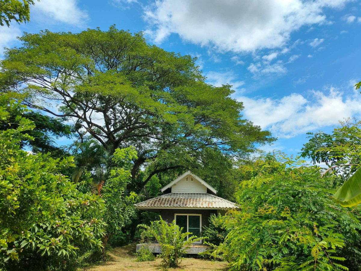 รูป 🌿🏡 ขายที่ดิน 4 ไร่ 83 ตร.ว. พร้อมบ้านสวน 4 หลัง ต.แม่โป่ง อ.ดอยสะเก็ด จ.เชียงใหม่ T. 063-6649056 - รูปที่ 3/18