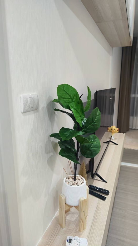 picture Supalai Loft Sathorn-Ratchaphruek - 9/15