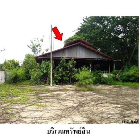 รูป Z1T0093 ขายโกดังเลี้ยงสัตว์ ตำบล บ้านกร่าง อำเภอ ศรีประจันต์ จังหวัด สุพรรณบุรี - รูปที่ 2/8
