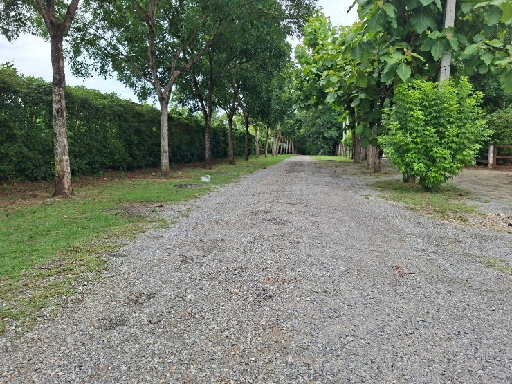 รูป ที่ดิน7ไร่ สวยๆ ติดคลอง ปากช่อง เขาใหญ่ - รูปที่ 6/8