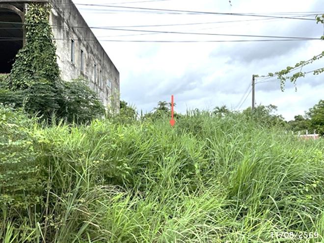 รูป ที่ดินว่างเปล่า 79 ตร.วา เสนางคนิคม อำนาจเจริญ 437,000 - รูปที่ 5/19