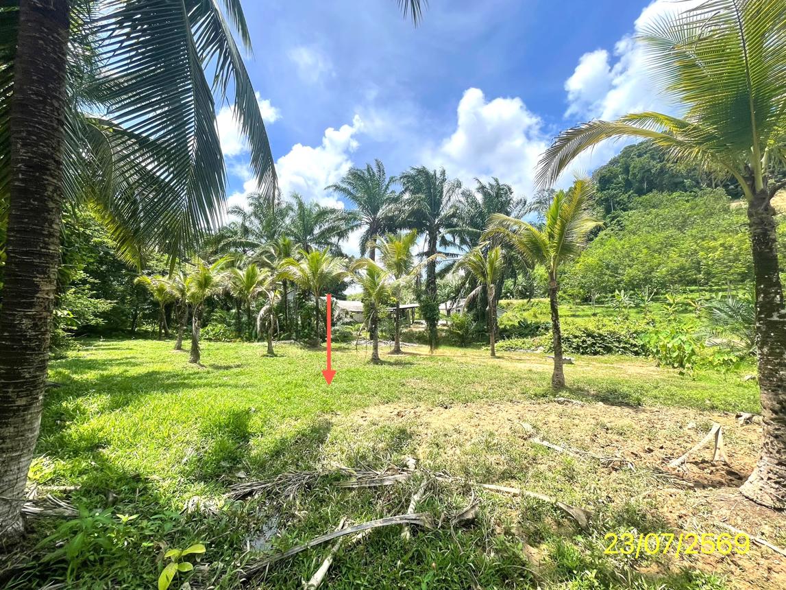 picture HOME 1144.6 Sq.w. Kantrang Trang for 4.4M - 21/25
