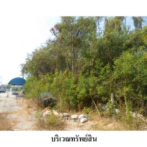 รูป Z2T2051 ขายที่ดินเปล่า โครงการ ธาราทิพย์ ตำบล ทะเลชุบศร อำเภอ เมืองลพบุรี จังหวัด ลพบุรี - รูปที่ 5/8