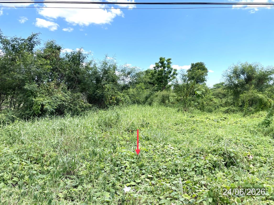 picture LAND 3368 Sq.w. Chon Daen Phetchabun for 5.1M - 15/19
