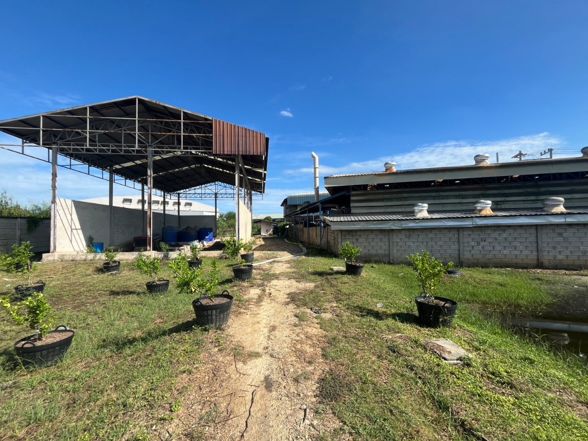 picture Land with buildings + house + warehouse, including factory license (Form 4). - 15/23