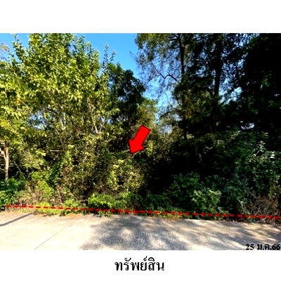 Land for sale Muang Suphanburi Suphanburi : Thailand LAND for sale 4 Rai 0 Ngan 52 Square Wah  4248000 Baht.
