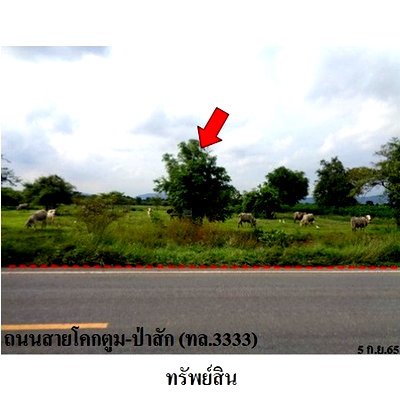 ที่ดิน พัฒนานิคม ลพบุรี : Z8Z6348 ขายที่ดินเปล่า ตำบล ดีลัง อำเภอ พัฒนานิคม จังหวัด ลพบุรี