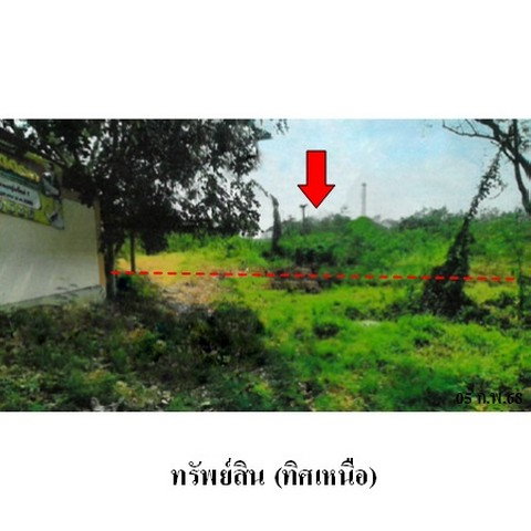 รูป ZLTR014 ขายที่ดินเปล่า ตำบล ลำนารายณ์ อำเภอ ชัยบาดาล จังหวัด ลพบุรี - รูปที่ 4/8