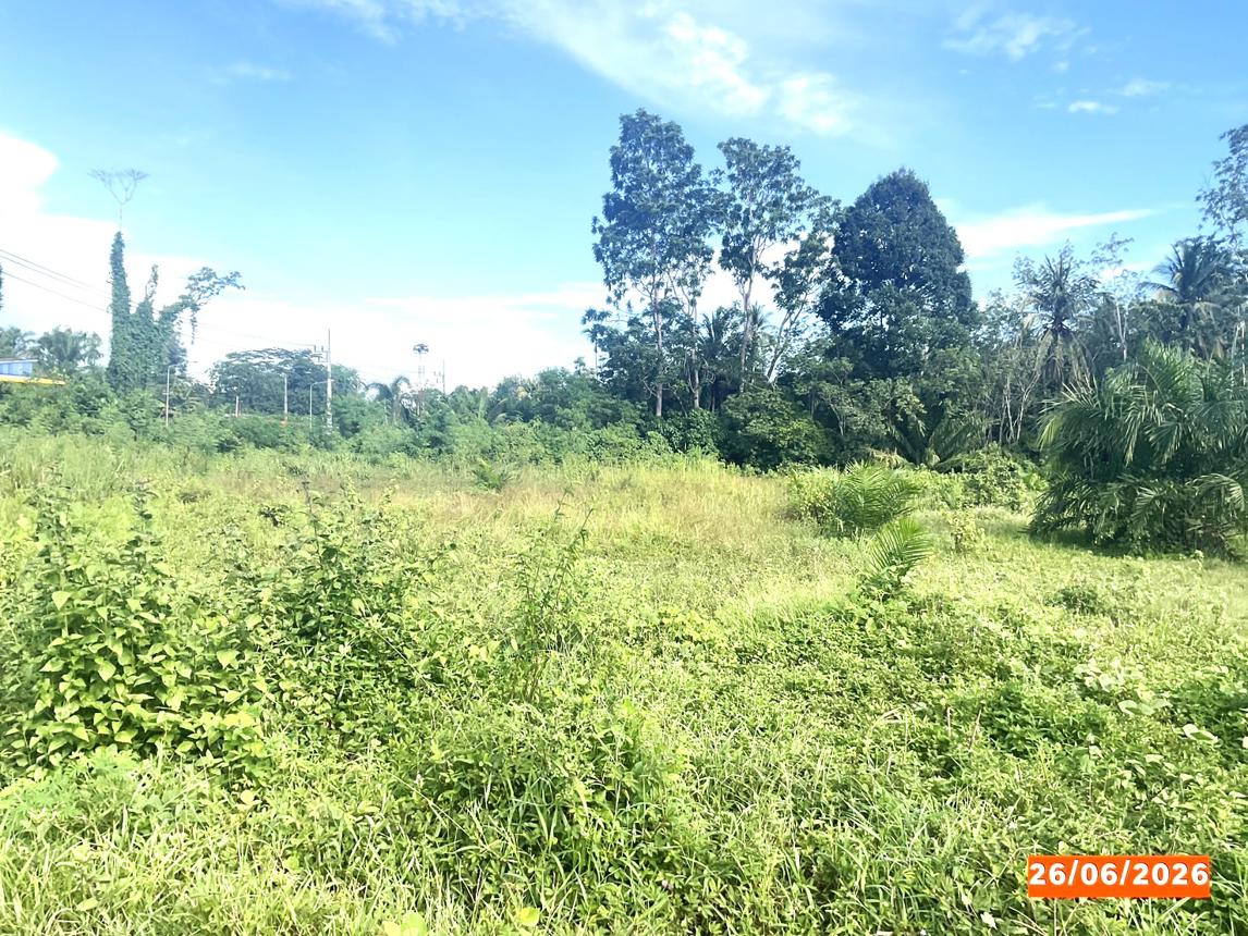 รูป ที่ดินว่างเปล่า 152.3 ตร.วา บางขัน นครศรีธรรมราช 1.6M - รูปที่ 17/21