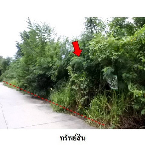 รูป Z8Z6443 ขายที่ดินเปล่า สวนวลีแลนด์ 4 ตำบล ทับมา อำเภอ เมืองระยอง จังหวัด ระยอง - รูปที่ 3/8