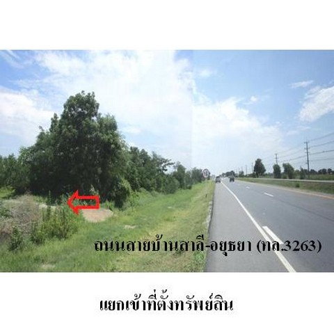 รูป Z2T1093 ขายที่ดินเปล่า ตำบล สาลี อำเภอ บางปลาม้า จังหวัด สุพรรณบุรี - รูปที่ 5/8