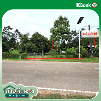 picture LAND 336 Sq.w. That Phanom Nakhon Phanom for 1.1M - 19/21