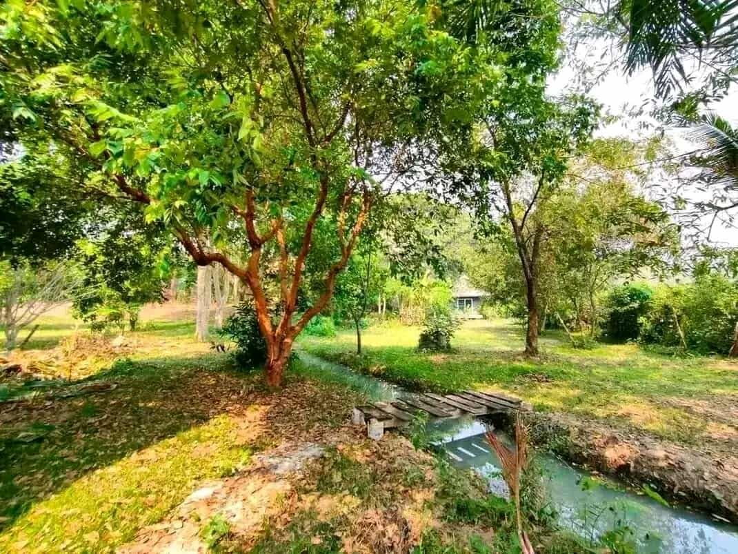 รูป 🌿🏡 ขายที่ดิน 4 ไร่ 83 ตร.ว. พร้อมบ้านสวน 4 หลัง ต.แม่โป่ง อ.ดอยสะเก็ด จ.เชียงใหม่ T. 063-6649056 - รูปที่ 8/18