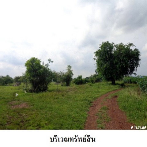 รูป Z8Z6348 ขายที่ดินเปล่า ตำบล ดีลัง อำเภอ พัฒนานิคม จังหวัด ลพบุรี - รูปที่ 8/8