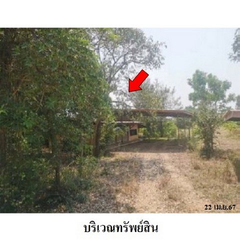 รูป ZHL0246 ขายโกดัง ตำบล วังหว้า อำเภอ ศรีประจันต์ จังหวัด สุพรรณบุรี - รูปที่ 4/8