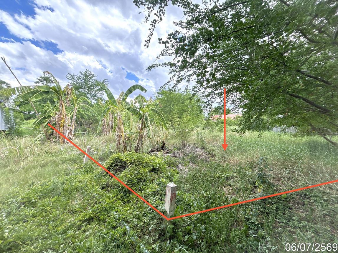 รูป ที่ดินว่างเปล่า 219 ตร.วา ชัยบาดาล ลพบุรี 636,000 - รูปที่ 9/15