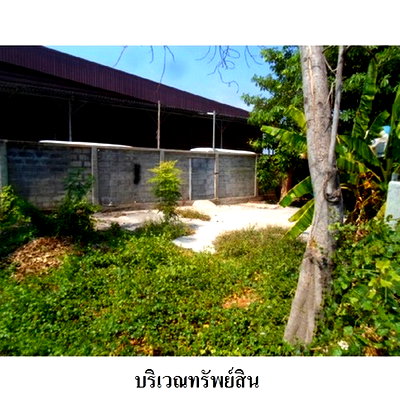 Land for sale Muang Lop Buri Lopburi : Thailand LAND for sale 0 Rai 1 Ngan 61 Square Wah  971000 Baht.
