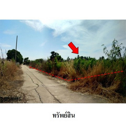 รูป Z4T0492 ขายที่ดินเปล่า โครงการ บ้านส่องแสง ตำบล สามเมือง อำเภอ ลาดบัวหลวง จังหวัด พระนครศรีอยุธยา - รูปที่ 1/8