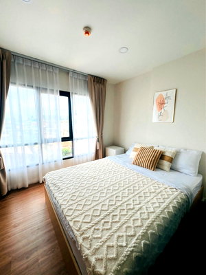 คอนโดให้เช่า : BESTPRICE ให้เช่า ALIVE SUKHUMVIT 76 ห้องสวย เฟอร์ครบ ราคาพิเศษ 